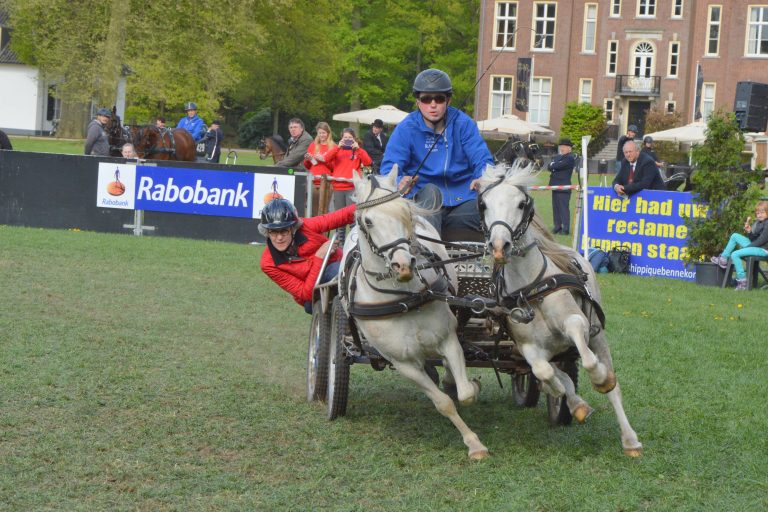 DSC_0816 DSC 0816