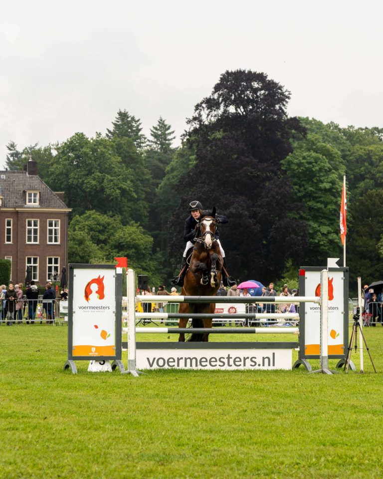 _RMG1423 a person on a horse jumping over a fence