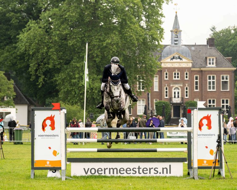 _RMG1699 a person on a horse jumping a hurdle
